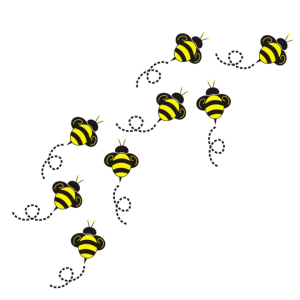 many bees fly